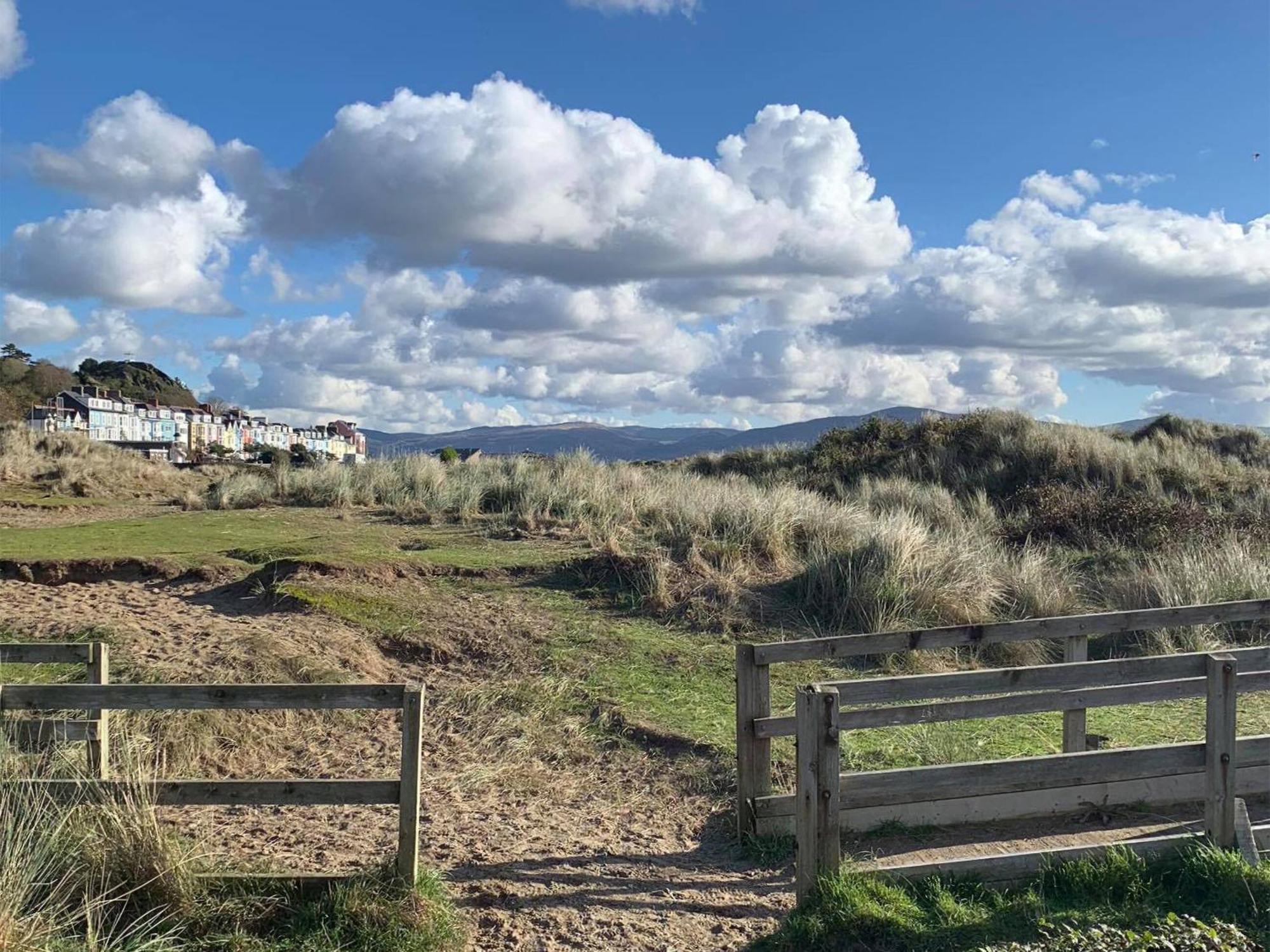 Driftwood Villa Aberdyfi Dış mekan fotoğraf